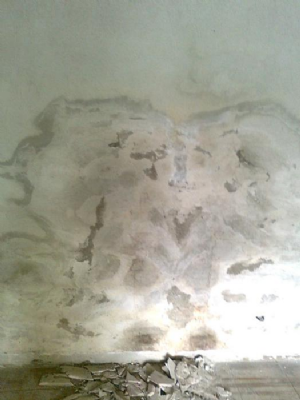 Coprox