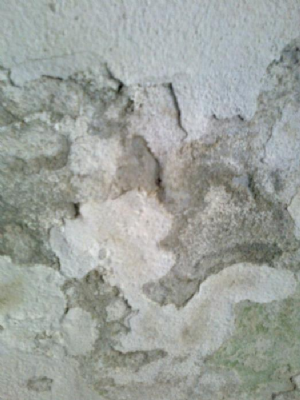 Coprox